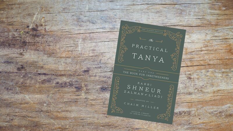 Tanya Book